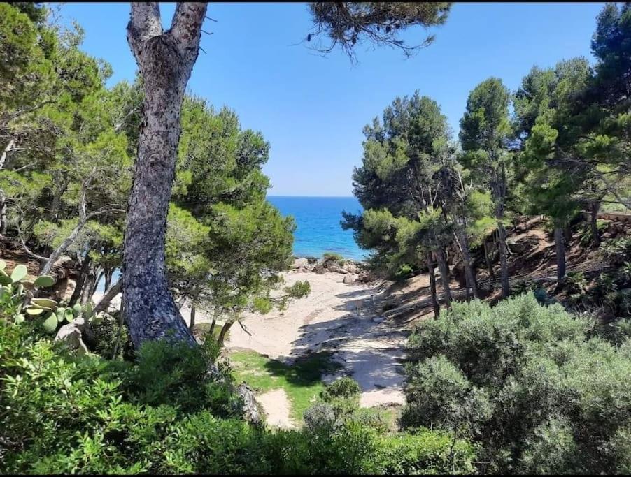 Villa Climatisee Bord De Mer Avec Piscine Privee 미아미플라자 외부 사진