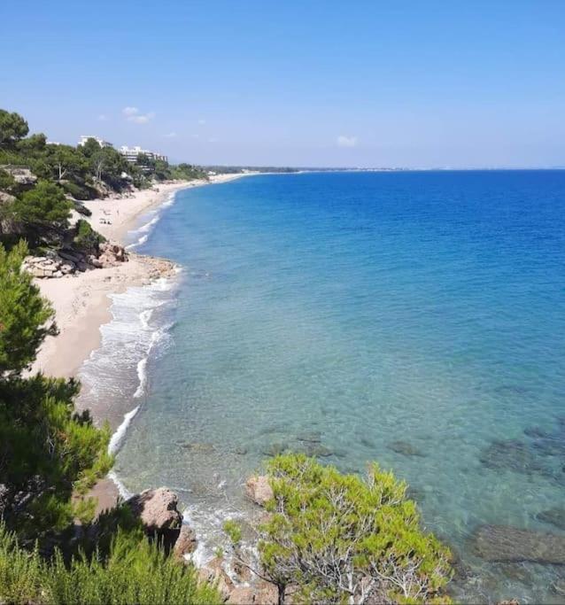 Villa Climatisee Bord De Mer Avec Piscine Privee 미아미플라자 외부 사진