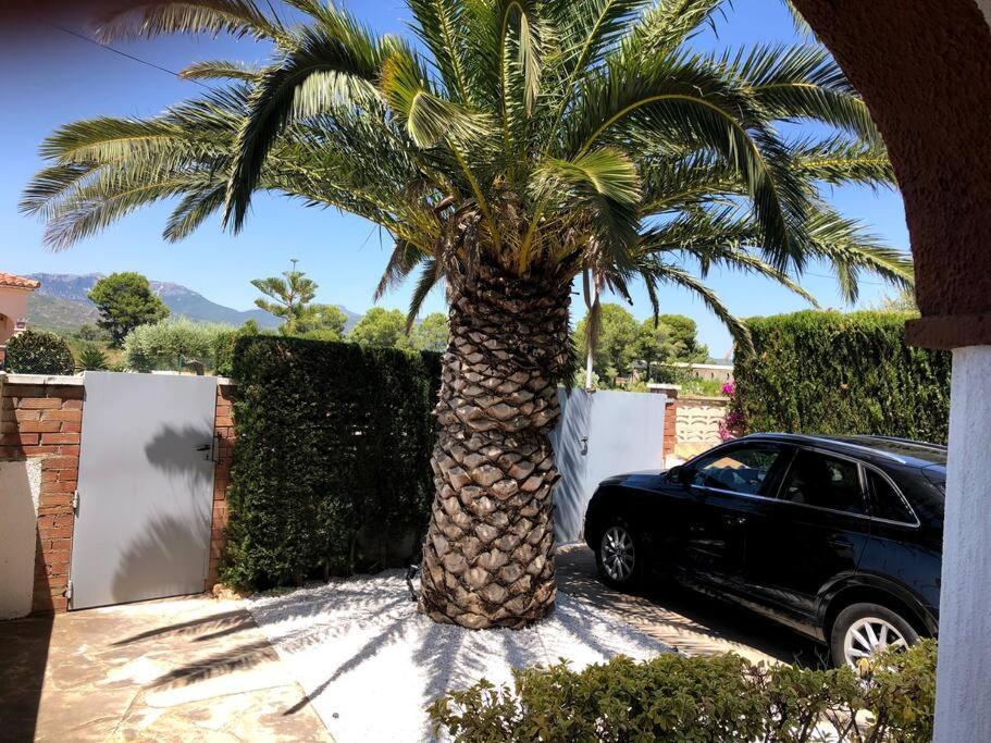 Villa Climatisee Bord De Mer Avec Piscine Privee 미아미플라자 외부 사진